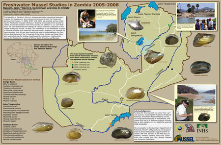 Freshwater Mussel Studies in Zambia 2005-2008