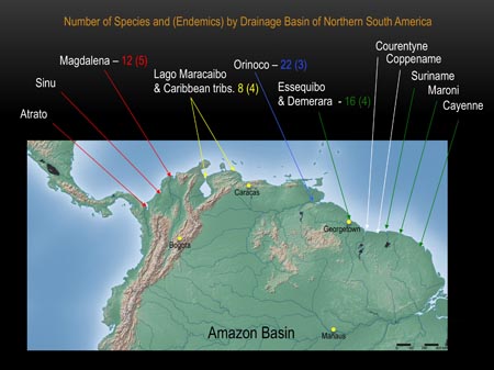 This slide depicts patterns of freshwater mussel species richness and endemism in northern South America.