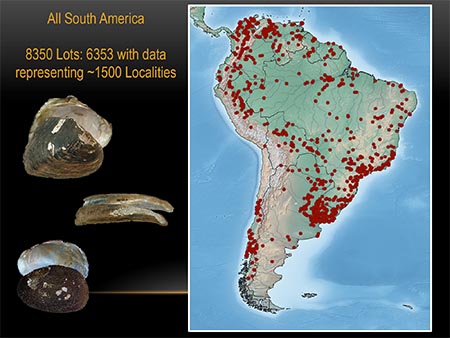 This slide shows a map of specimen localities in South America.