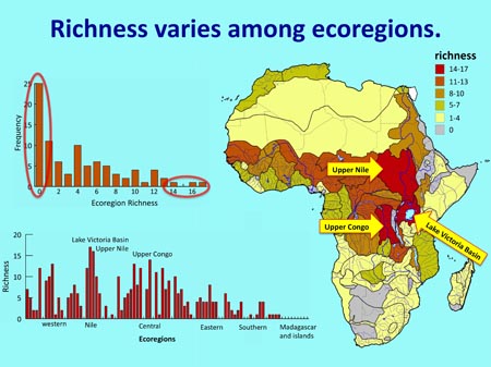 Richness varies among ecoregions.