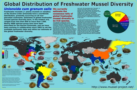 Global Distribution of Freshwater Mussel Diversity