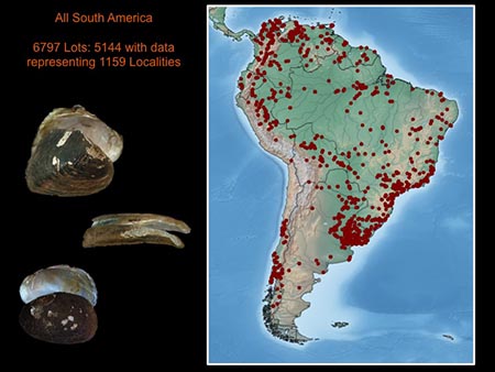 This slide depicts patterns of freshwater mussel species richness and endemism in northern South America.
