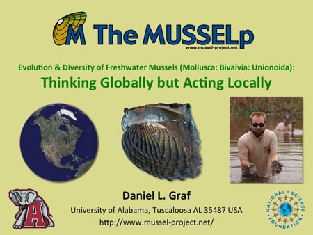 Evolution and diversity of freshwater mussels (Mollusca: Bivalvia: Unionoida): Thinking Globally but Acting Locally