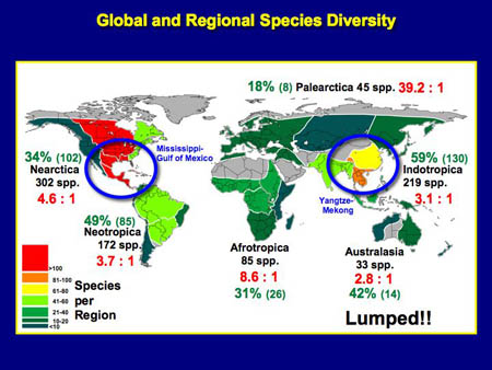 This slide compares various freshwater mussel species-level taxonomic issues for the geographical subregions of the world.