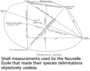 Shell measurements used by the Nouvelle École that made their species delimitations objectively useless.