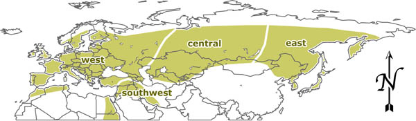 The Palearctic Region and its four subregions: West, Southwest, East and Central.